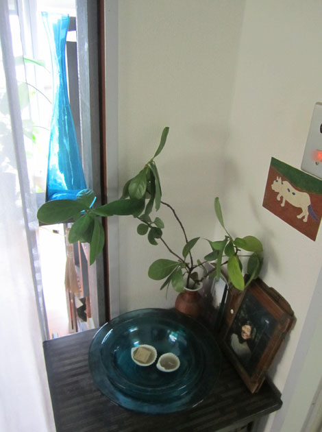 ギャラリー写真14