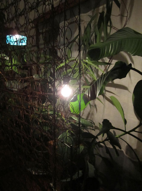 ギャラリー写真16